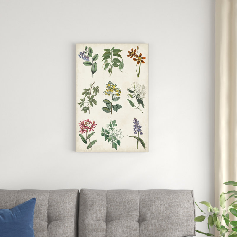 Tableau botanique I, H 30 po x l 20 po x P 1,25 po