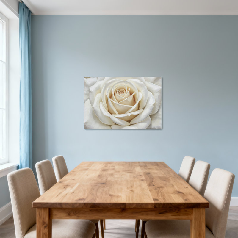 Plantes et fleurs, rose blanche, gros plan, motif floral, H 12 po x l 18 po