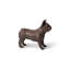 Bouledogue français-49609687