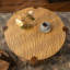 Table basse ronde à 2 niveaux avec pieds en bois massif et tablette de rangement - Mid-Century moderne