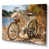 Toile tendue