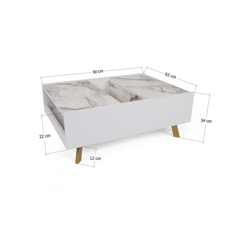 Palmyra Coffee Table with Storage