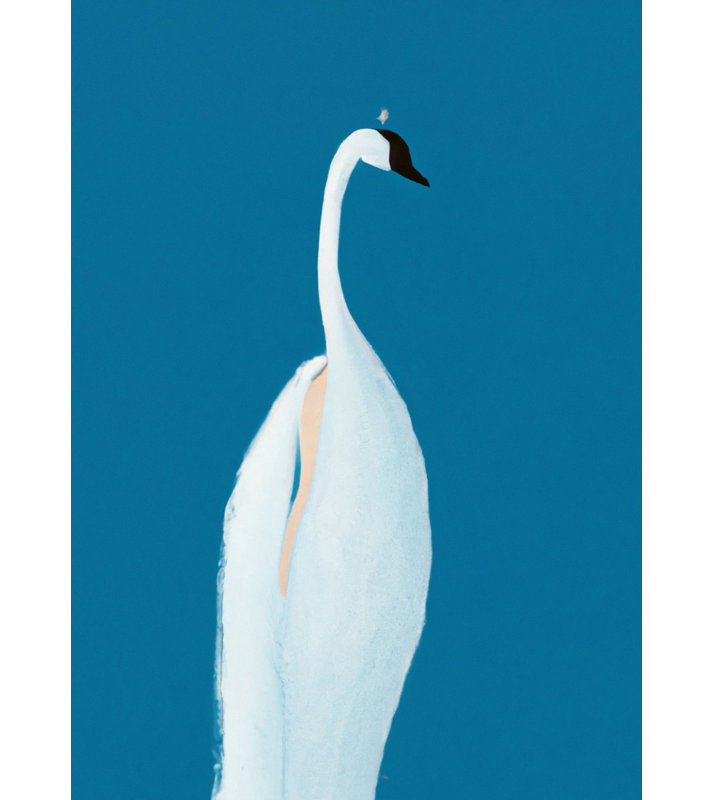 Wrapped Canvas Print, 81.28 cm H x 121.92 cm W