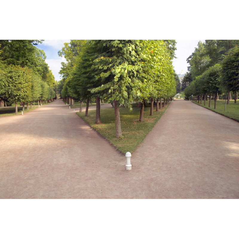 Green Ways by MaleWitch - Wrapped Canvas Print, 30cm H x 46cm W