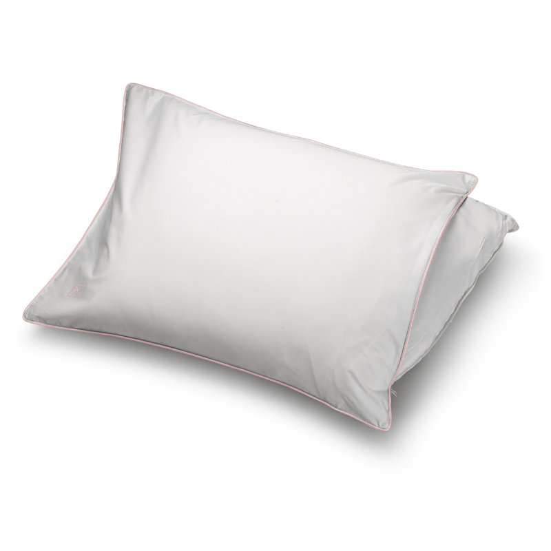 White Goose Down Pillow with Cotton Protector, Set of 2