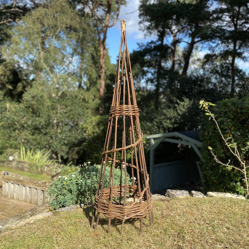 Anneliesse 115 H x 30 W