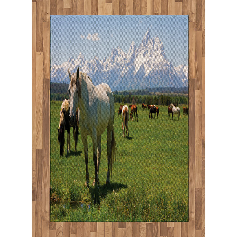 National Parks High Density Long Fiber Poly Threads Decorative Area Rug Carpet, Rectangle 4' x 5'8"