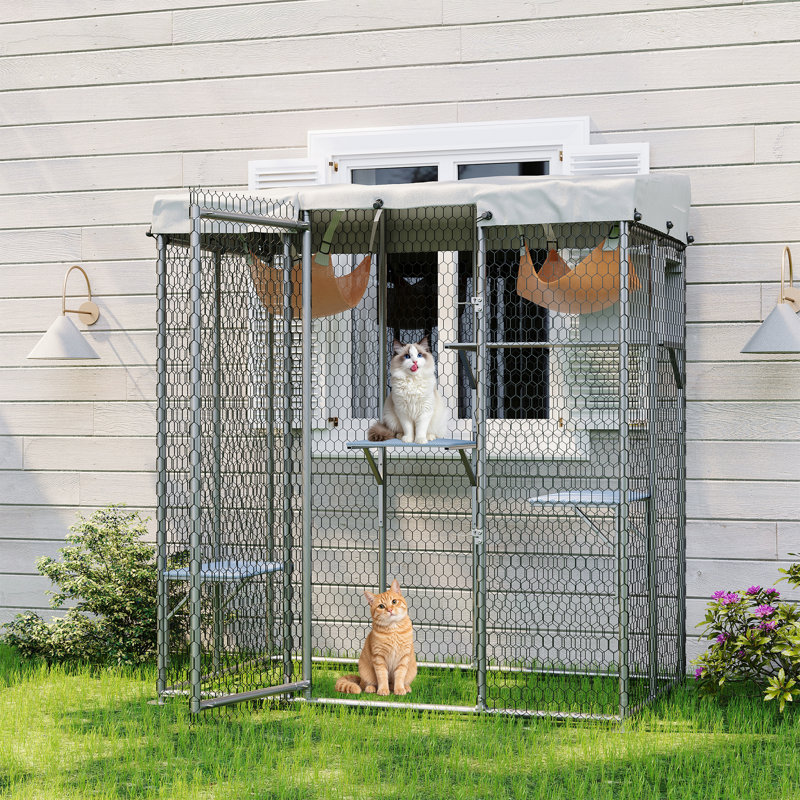 Grande cage d'extérieur pour chat de 76 po avec boîte de repos pour hamac et 4 plateformes pour chats multiples