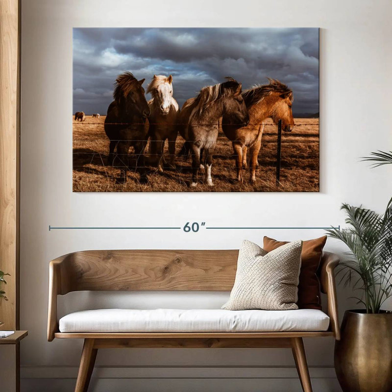 Brampt Iceland Pony, 34" H x 51" W