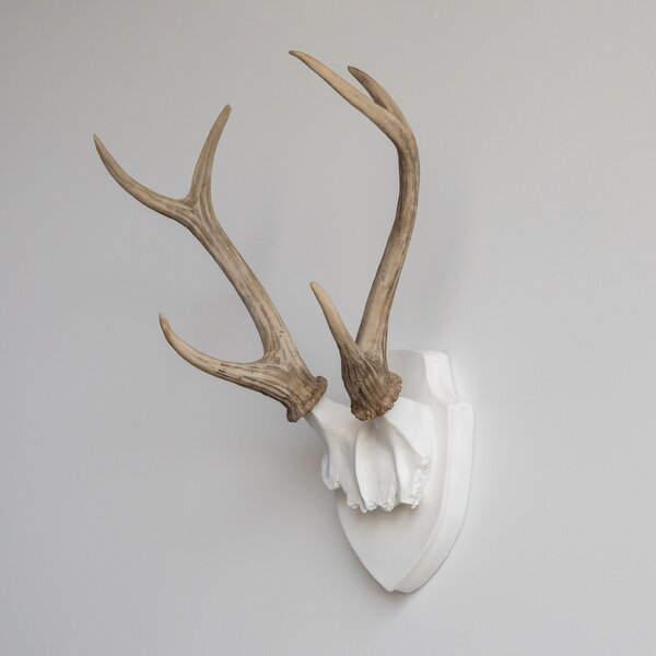 Faux Taxidermy Deer Antler Wall Décor
