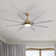 66" Brixham 8-Blade Modern Ceiling Fan with LED Light and Remote Control