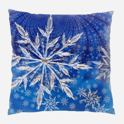 Coussin Christmas