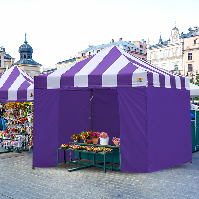 10 pi. L 10 pi. D Auvent escamotable en fer, Mauve