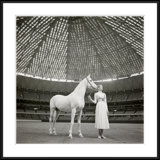 Veruschka With Morafic Arabian Horse Giclee Print by Sante Forlano