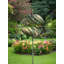 Brijito Garden Accent