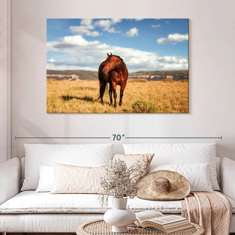 Wild Quarter Horse, 32" H x 48" W
