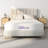 LUMERIS 8 Inch Twin Memory Foam Mattress with Charcoal Infusion & Silky Mesh Cover - Medium Firm Support for Stomach Sleepers, Spine Alignment, Easy Unboxing-816700284-816700285