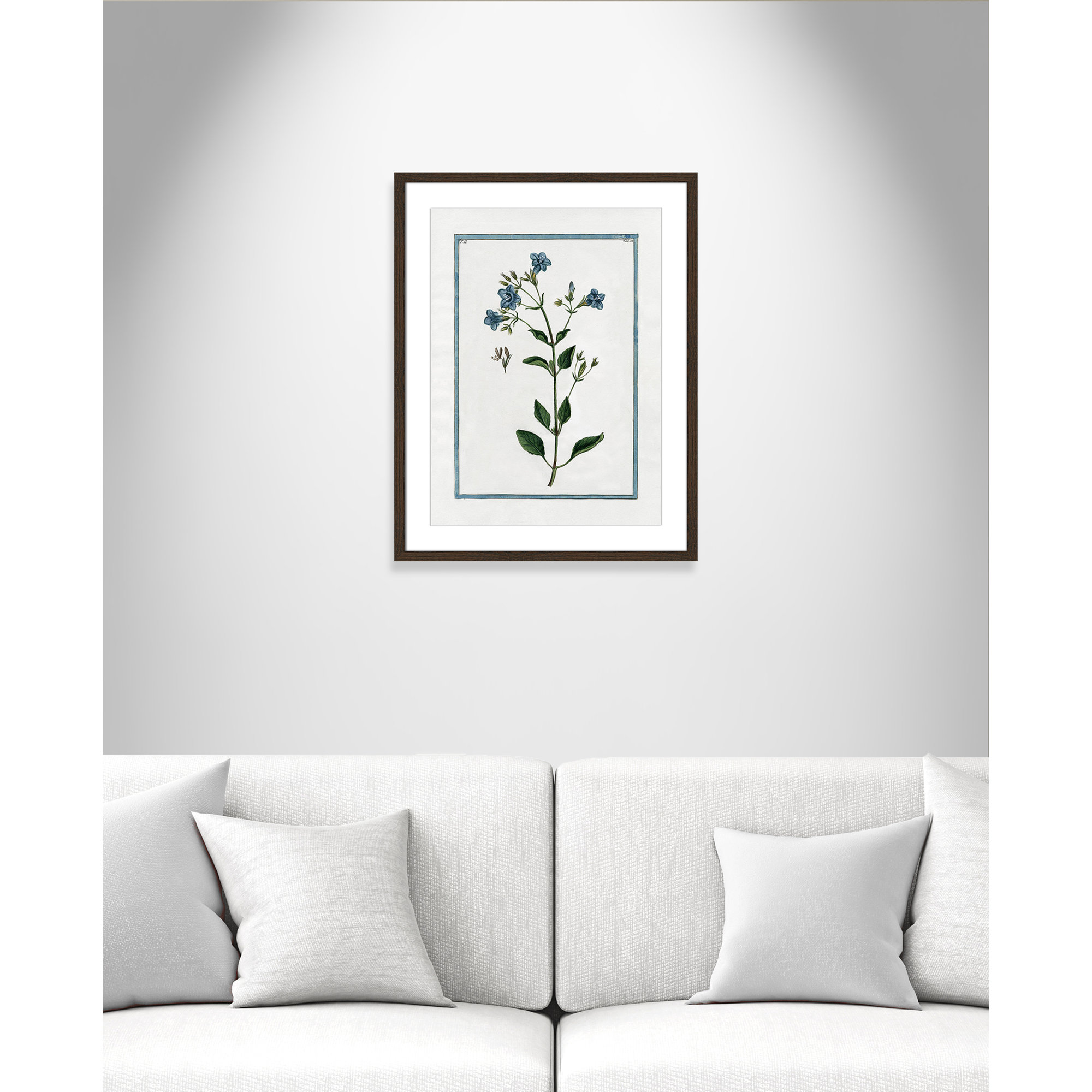 Shabby Elegance Botanical II - Framed Art, Walnut Framed, 17" W x 23" H