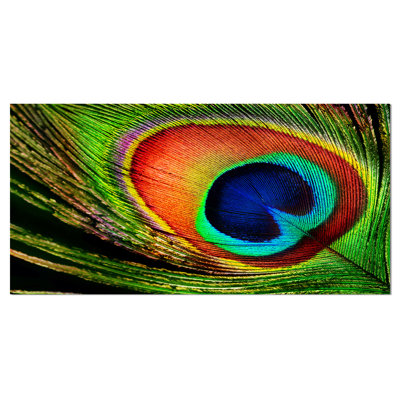 «Peacock Feather», impression