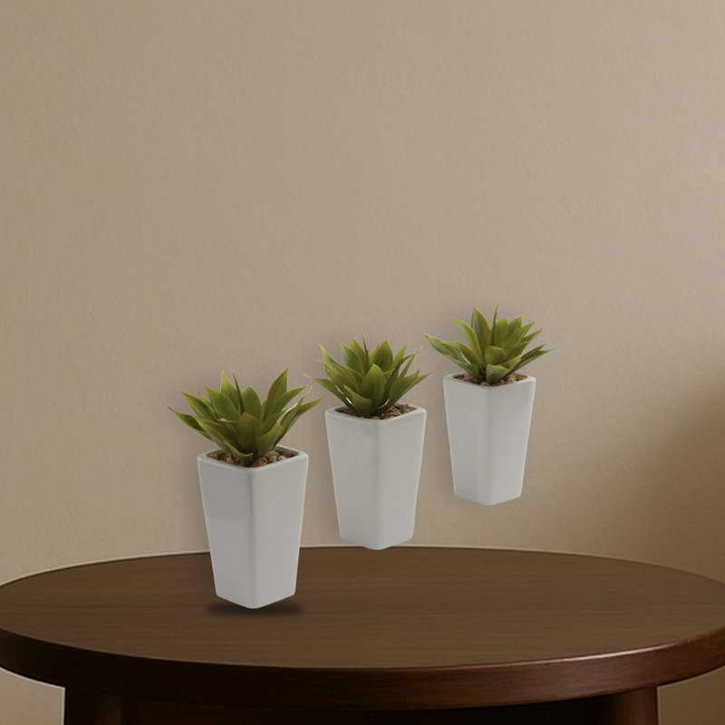 Mini Agave Plant with Planter