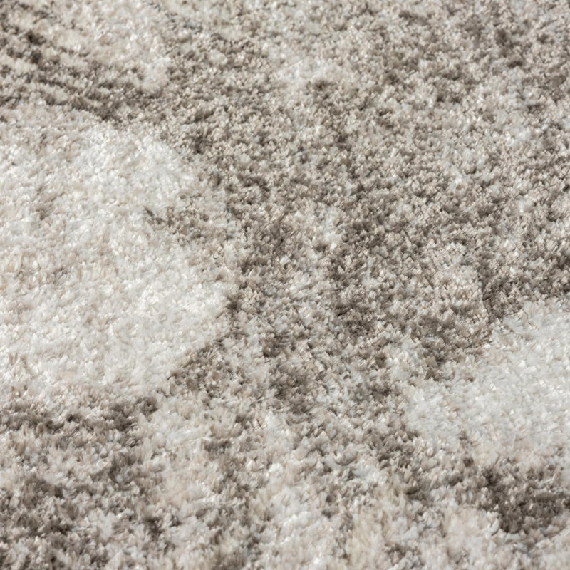 Jisha Abstract Indoor Rug, Rectangle 4' x 5'