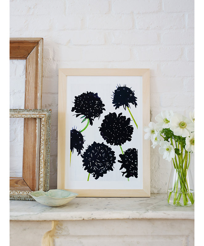 Scabiosa noir sur neige - sans cadre, H 19 po x l 13 po
