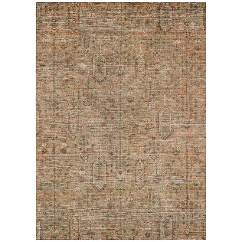 Chamaya Southwestern Indoor / Outdoor Rug, Rectangle 10' x 14'