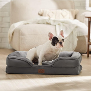 Lit confortable pour chien