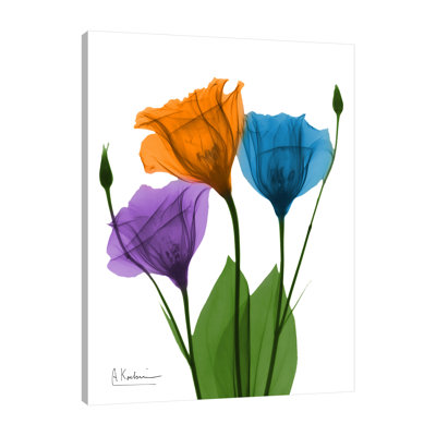 " Jewel Gentian Buddies 1 " by Albert Koetsier