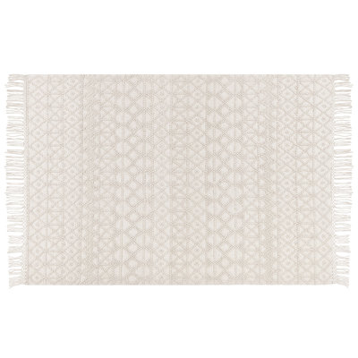 Oyens Geometric Hand Woven Area Rug
