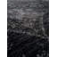Oriental Area Rug in Black-1388895091