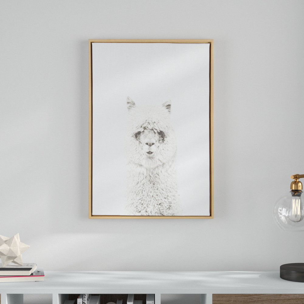 Audel " Hairy Alpaca Black And White Animal " by Simon Te Of Tai Prints Ebern Designs