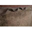 Tapis traditionnel floral 8 x 11
