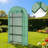 Lean-to Greenhouse Portable Greenhouseb