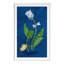 Spotted Tulip 3 (Orange) Print by Dana Gibson-1929756345-1929756346
