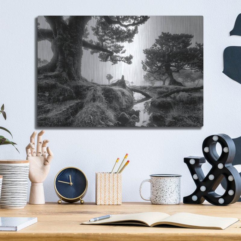 «Black & White Fanal» par Martin Podt, H 12 po x l 16 po