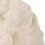 Sagebrook Home 12" Polyresin Coral Fan Decor, Ivory