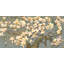 Magnolia Branches Iv - reproduction sur toile tendue-16030071