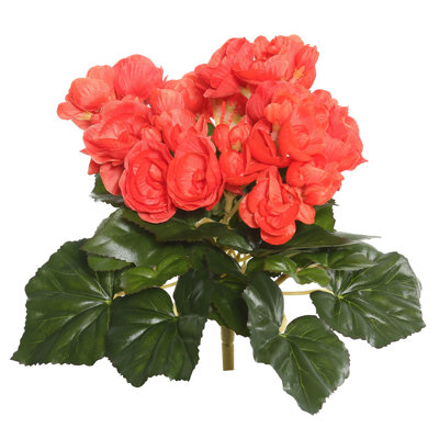 Bégonia artificiel