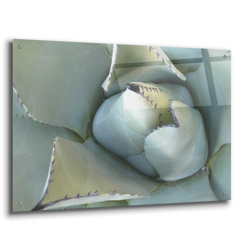 Art mural épique «Agave Détail 3» par Brittany Evans, 36 po x 24 po, H 24 po x l 36 po