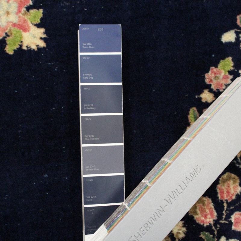 Oriental Area Rug in Navy