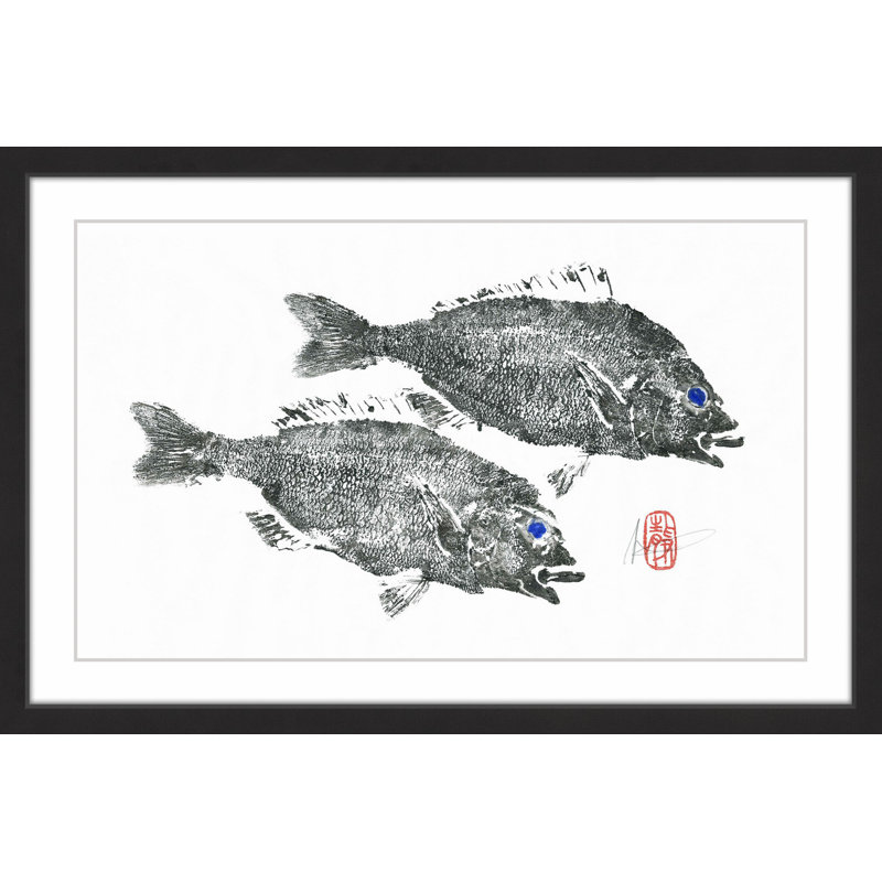 « stripeed seabream », reproduction d’art encadrée, H 16 po x l 24 po x P 1,5 po