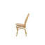 Powder Coated Aluminum Outdoor Dining Side Chair with Cushion