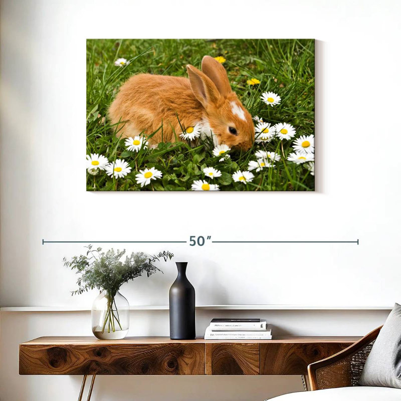 Brampt marguerites et lapin, H 24 po x l 36 po
