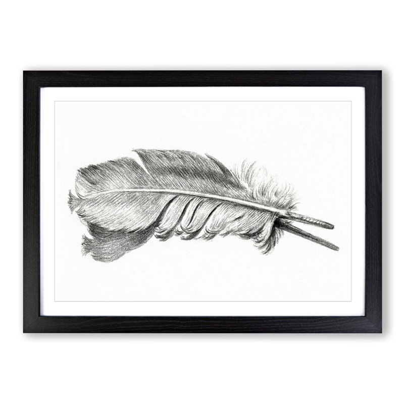 Feather by Jean Bernard - Picture Frame Drawing Print, 48cm H x 65cm W x 2cm D, Black Framed