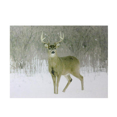 Fiber Optic Lighted Majestic Buck Canvas Wall Art 12" x 15.75"