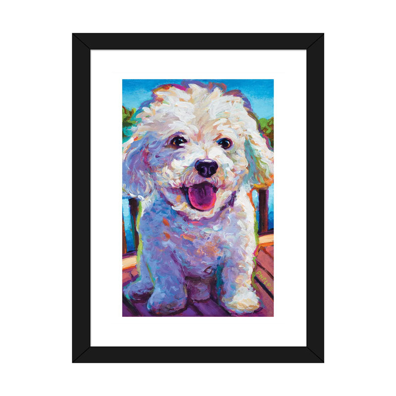 Bichon frisé par Robert Phelps - reproduction d'art, Blanc / aubergine / banane / brun clair / rouge br