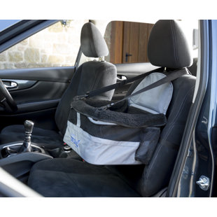 Collapsible Pet Carrier