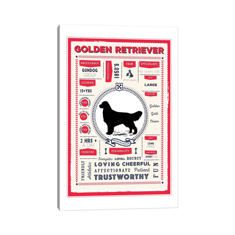Golden Retriever Infographic Red by PaperPaintPixels - Wrapped Canvas Print, 101.6 cm H x 66.04 cm W x 3.175 cm D