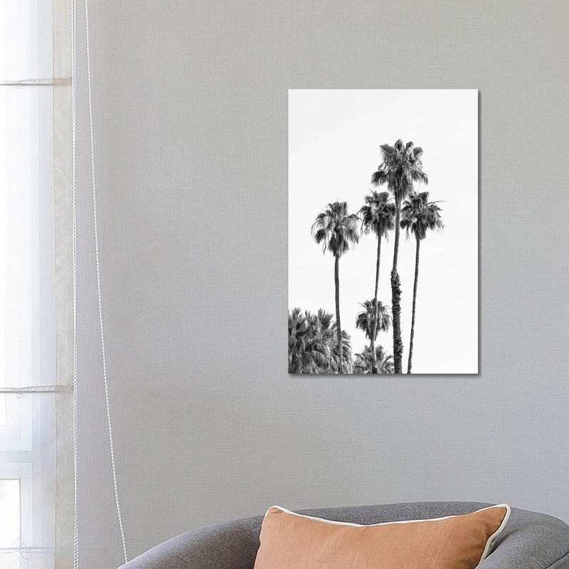 Palm Trees | Monochrome by Melanie Viola - Wrapped Canvas Print, 66.04 cm H x 45.72 cm W x 3.175 cm D